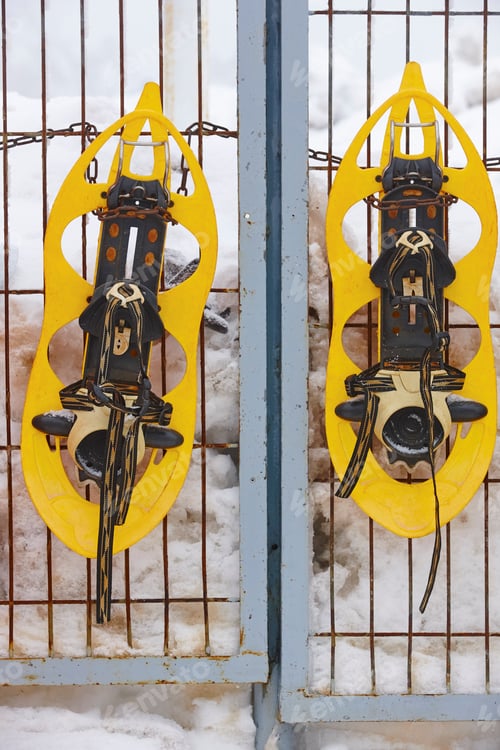 Preview: Snowshoes ready to be rent with snowy background. Vertical