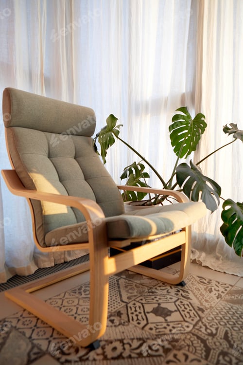 Preview: Cozy armchair and potted exotic plant placed near window in daylight
