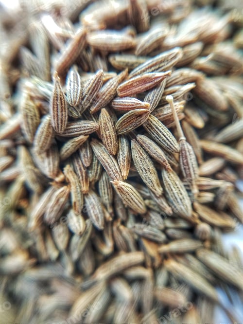 Preview: CUMIN SEEDS