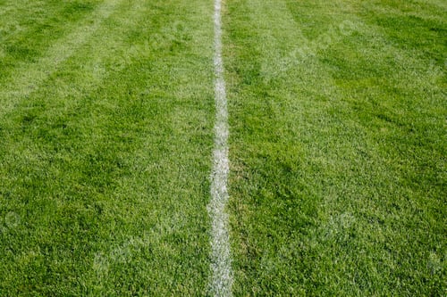 Preview: White center line on freshly cut grass. A sports playing surface.