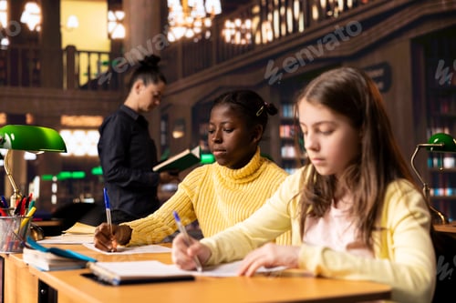 Preview: Young students filling their class notes and solving theoretical exercises