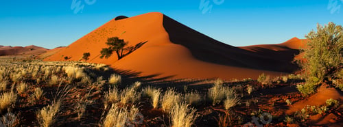 Preview: Sand Dune in Sossusvlei - Namib Desert - Namibia