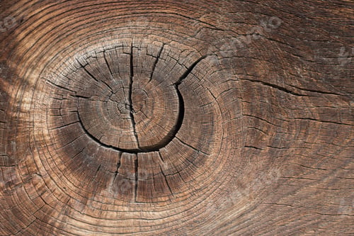 Preview: Texture of old wood