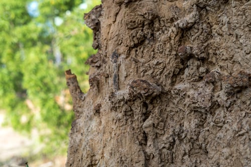 Preview: Dry earth cliffs with traces of erosion