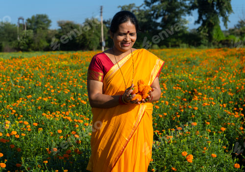 Preview: Indian woman collect marigold flower in beautiful garden.