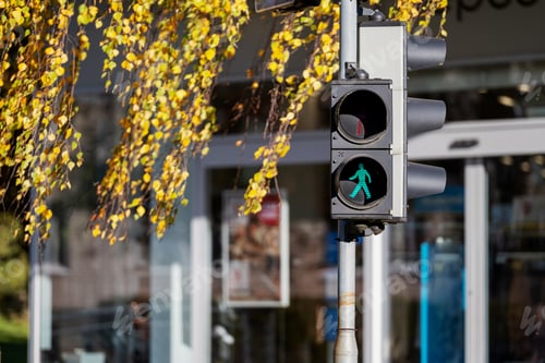 Preview: Green pedestrian signal illuminated at a street corner surrounded by autumn leaves