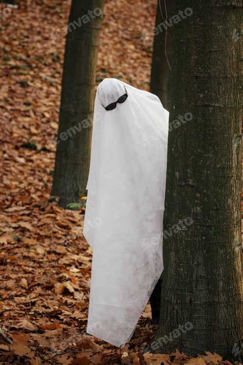 Preview: Funny ghost with black glasses peeking out of a tree in moody autumn forest