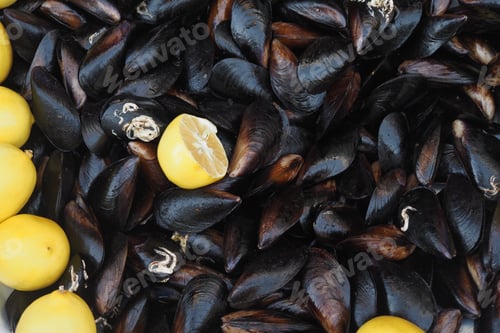 Preview: Fresh Black Shell Recipe With Lemon Turkish Food