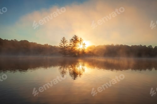 Preview: Sunrise through pine trees fog sunburst and a loon on a northern Minnesota lake during summer