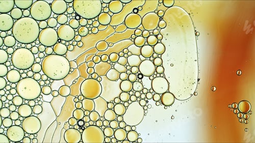 Preview: Abstract Colorful Food Oil Drops Bubbles and spheres Flowing on Water Surface