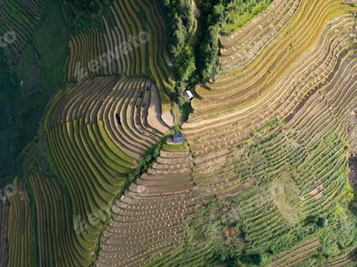 Preview: Aerial view of numerous rice terraces in Mu Cang Chai District, Vietnam