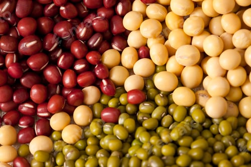 Preview: Close-up of different beans
