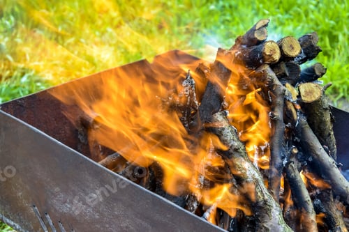 Preview: Bonfire made of branches of trees. Flame flutters in wind. Process of preparing coals for barbecue.