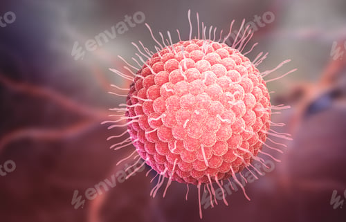 Preview: Varicella zoster virus