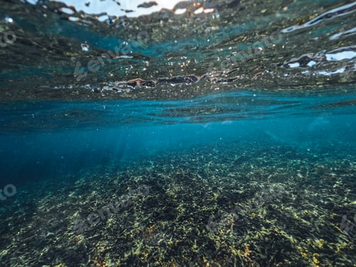 Preview: Underwater at the beach on the island
