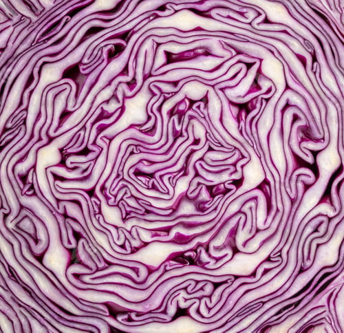 Preview: purple cabbage texture