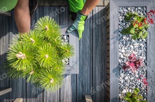 Preview: Garden Worker Arranging Back Yard Plants Decoration