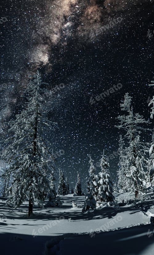 Preview: Majestic view of forest with fir trees and cosmos with many stars
