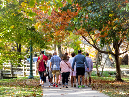 Preview: Group of people fitness walking for exercise on beautiful autumn day on sidewalk surrounded by trees