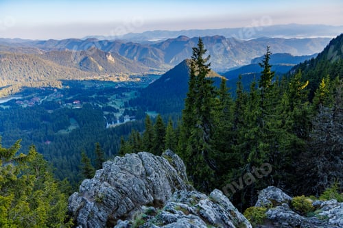 Preview: Forest with fir trees on slopes of Rhodope Mountains covered with vegetation in valley