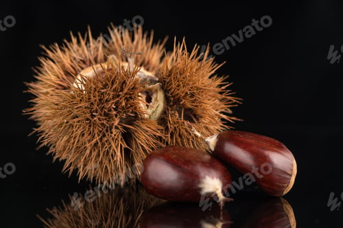Preview: Chestnuts on a black reflective background
