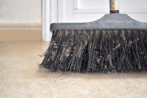 Preview: Dirty sweeping brush with pile of dust.