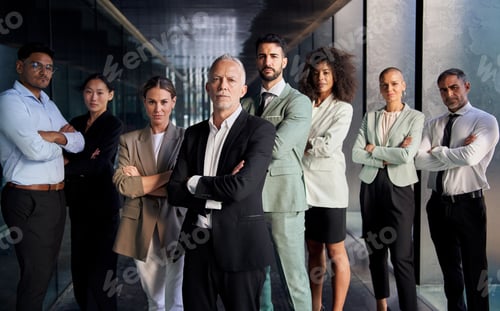 Preview: Team portrait multi-ethnic successful professionals posing confidence. Young and mature colleagues.