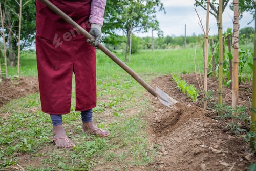 Preview: Close-up of a peasant's shovel digging the ground, tillage of fields concept