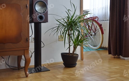Preview: Living room with wooden furniture, loudspeaker and potted plant - bicycle in the background