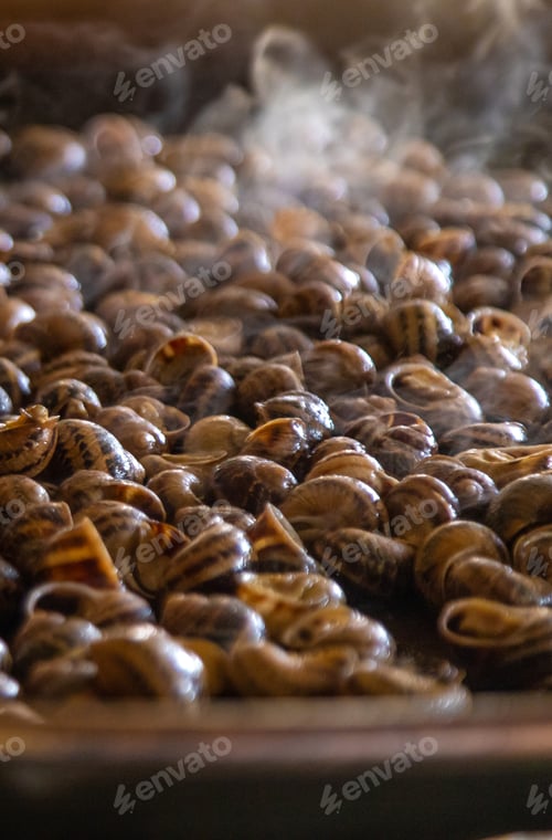 Preview: escargot is fried in a frying pan. Selective focus.