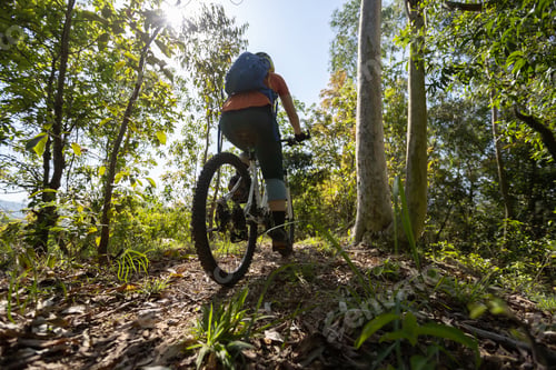 Preview: Mountain biking in spring forest