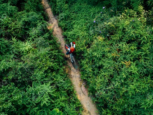 Preview: Cross country biking woman cyclist drinking water on tropical forest trail