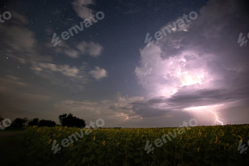 Preview: Time-lapse. Beautiful thunderstorm with clouds and lightning over a field with sunflowers at night.