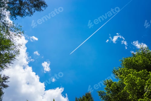 Preview: Airplane trail against a bright blue sky with few clouds and leaves on the side
