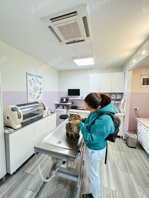 Preview: Young woman petting tabby cat on examination table in veterinary clinic
