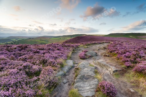 Preview: Winyards Nick in Derbyshire
