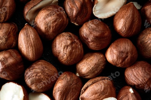 Preview: Close up of Hazelnut kernels - Food Frame Background, macro detailed close up.