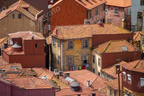 Preview: Strolling through the quaint streets and colorful houses of Porto