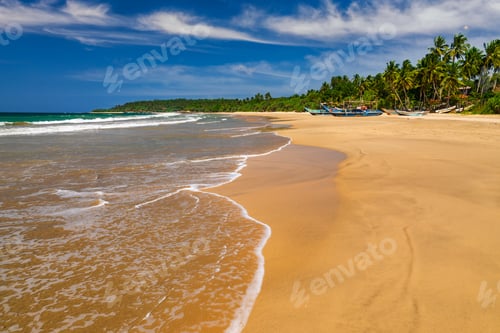 Preview: Traditional fishing boats on a sandy beach. Sri Lanka