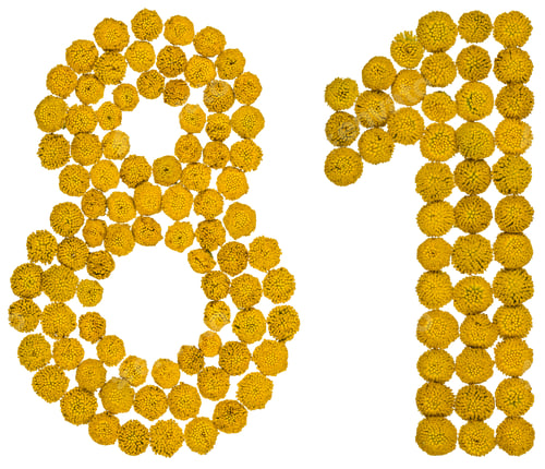 Preview: Arabic numeral 81, eighty one, from yellow flowers of tansy, isolated on white background