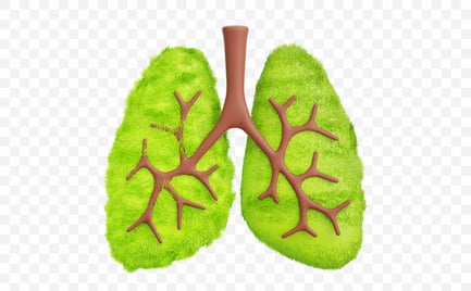 Preview: Green Lungs Health