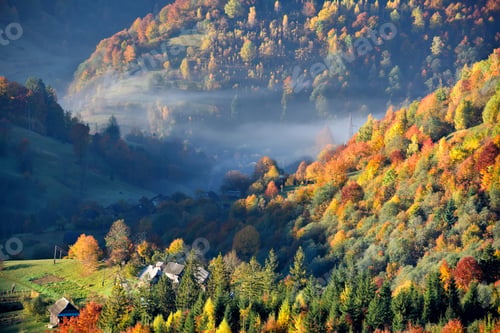 Preview: Beautiful autumn mountain landscape in the morning light with fo