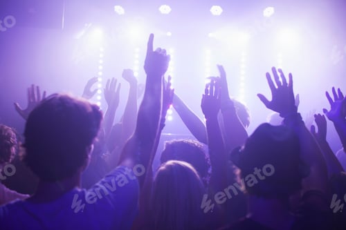Preview: Rear view of group in club arms raised watching concert