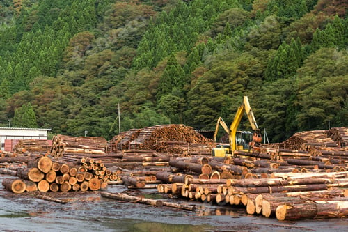 Preview: Timber industry