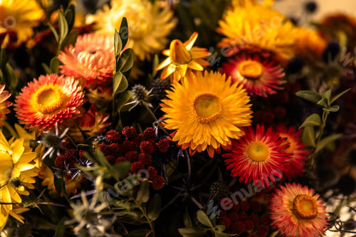 Preview: Autumn composition of dry flowers and herbs closeup. Red pink orange Floristic art decoration
