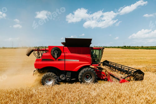 Preview: combine harvesters harvest wheat on a yellow field. Harvester working in the field.