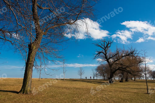 Preview: Park On A Michigan Lake