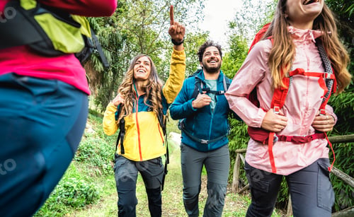 Preview: Front view of friends group trekking in forest on italian alps