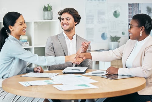 Preview: Happy business people do handshake in agreement, congratulate and teamwork in office meeting after