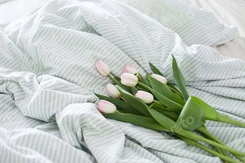 Preview: Bouquet of pink tulips, bed vibes, good morning, tenderness, flowers, floral mood, romantic, romance